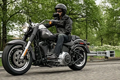 2015 Harley Davidson FLSTFB Fat Boy Lo High Resolution
