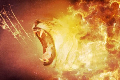 Desktop Angry Lion Pics