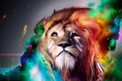 Download 3D Lion Wallpapers For Free   HD Wallpapers Inn