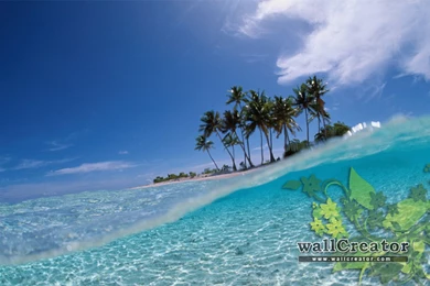 CANCUN   1280 / 800 Wallpapers