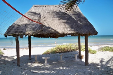 I AM ON VACATION IN CANCUN WALLPAPER   (