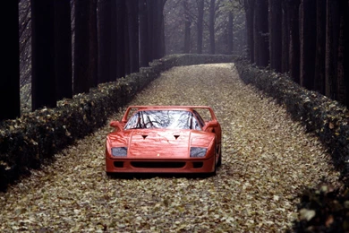 Ferrari F40 Wallpapers Iphone Image