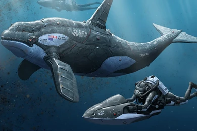 Divers And A Robotic Orca Wallpapers   Fantasy Wallpapers
