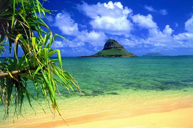 Coolest_3D_Wallpapers_Ever (5)   HD 3D Unique Wallpapers