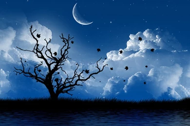 Hd moon wallpaper cool wallpapers   Wallpapers HD