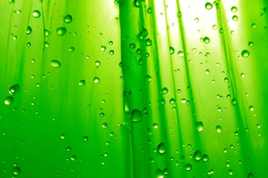 Macbook Pro 17   1739447