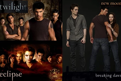 Twilight Series Wallpapers   Twilight Series Photo (9385974)   Fanpop
