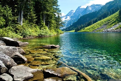 2560x1440 Wallpapers Iphone Wallpapers