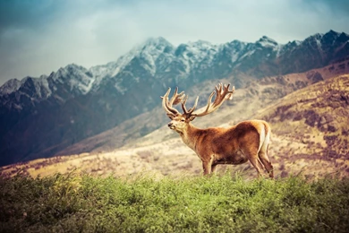 2560x1440 HD Wallpapers