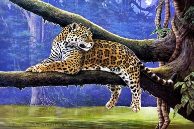 Nature Painting Wallpapers   Nature Wallpapers