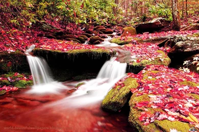 Nature Painting Wallpapers   Nature Wallpapers