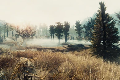 Skyrim   Bonestrewn Crest By PhysXPSP On DeviantArt