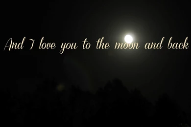 I Love You Quote HD Wallpapers