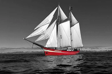 Black And White With Red Photography