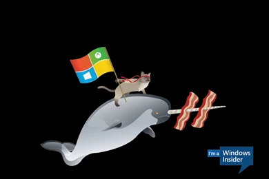 A Fun Surprise For Windows Insiders…