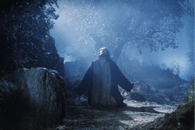 Jesus Christ Praying Wallpapers 09.jpg