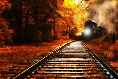 TRAIN IS COMING WALLPAPER   (