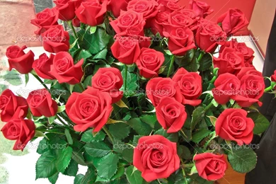 Bunch Of Roses Pictures   HD Wallpapers And Pictures