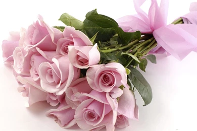 Bunch Of Roses Pictures   HD Wallpapers And Pictures