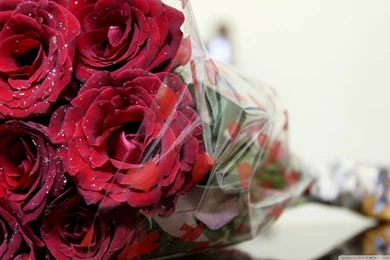 Red Rose Bouquet HD Desktop Wallpapers : High Definition ...