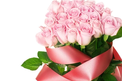 Red Roses Bunch Hd Images