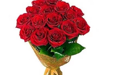 Best Ideas To Choose Gifts On Rose Day   Daily Roabox