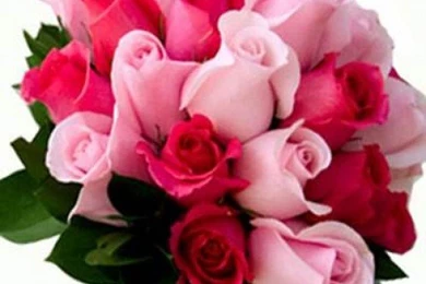 Valentines Day Flowers To Vijayawada In Vijayawada