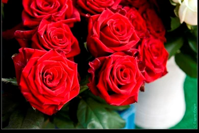 Bouquet Of Roses With Love Quotes. QuotesGram