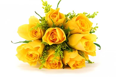 Rose Flower Bunch Wallpaper Images