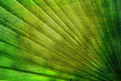 Download Wallpapers 1920x1080 Lines, Surface, Texture, Green, Cross ...