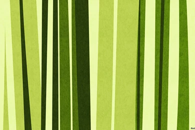 Bamboo Textured Wallpapers 2015   Grasscloth Wallpapers