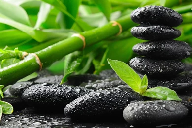 Zen Garden Desktop Wallpapers DG4M