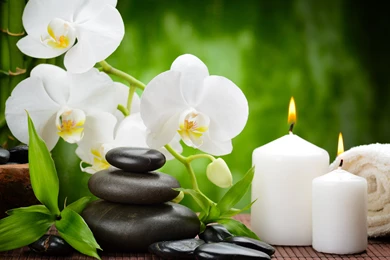 ZEN Mood Bokeh Garden Buddhism Religion Wallpapers