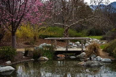 Zen Garden Wallpapers HD (27)