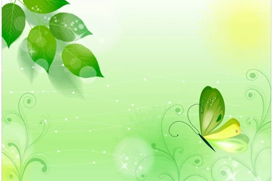 Background Images In Email   Widescreen HD Wallpapers