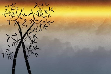 Free Bamboo Stock Background Images » Backgrounds Etc