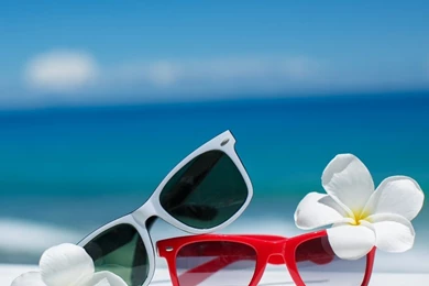 Merry Christmas To My Readers & Followers In Hawaii & Tropical ...