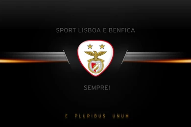 Download Free HD Wallpapers : Estadio Da Luz Wallpapers   Download ...