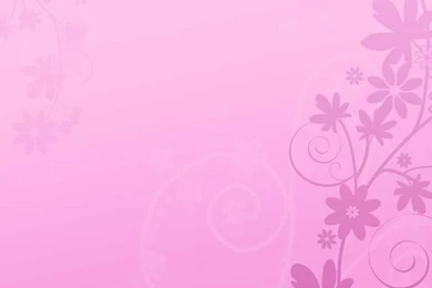 Pink   Pink (Color) Photo (10579442)   Fanpop