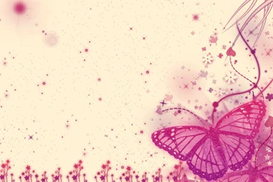 Pink Wallpapers   The Color Pink Fan Art (34934158)   Fanpop