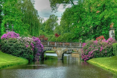 Pink, Pink & More Pink   Pink (Color) Wallpapers (19542373)   Fanpop