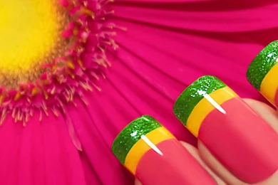 Download Wallpapers 1080x1920 Gerbera, Pink, Flower, Manicure ...