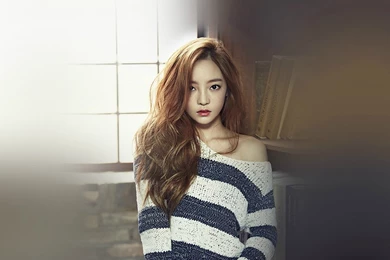 Goo Ha Ra Kpop Girl Music iPad Wallpapers Download