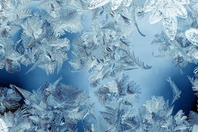 Festive Christmas Wallpapers For iPhone And IPad