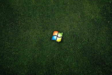 Free Microsoft Grass Wallpapers