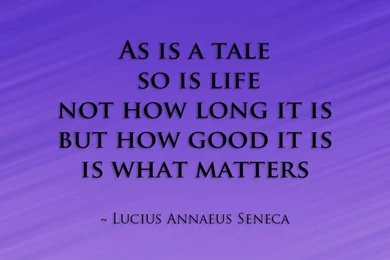 Free Funny Sayings Wallpapers