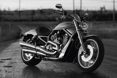 Harley Davidson Wallpaper4.jpg