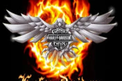 Harley Davidson Logo Wallpapers Hd   Free Android Application ...