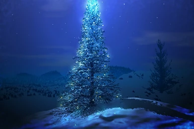 Christmas Tree Wallpapers HD Backgrounds Widescreen