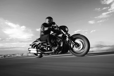 Harley Davidson Wallpapers Picture